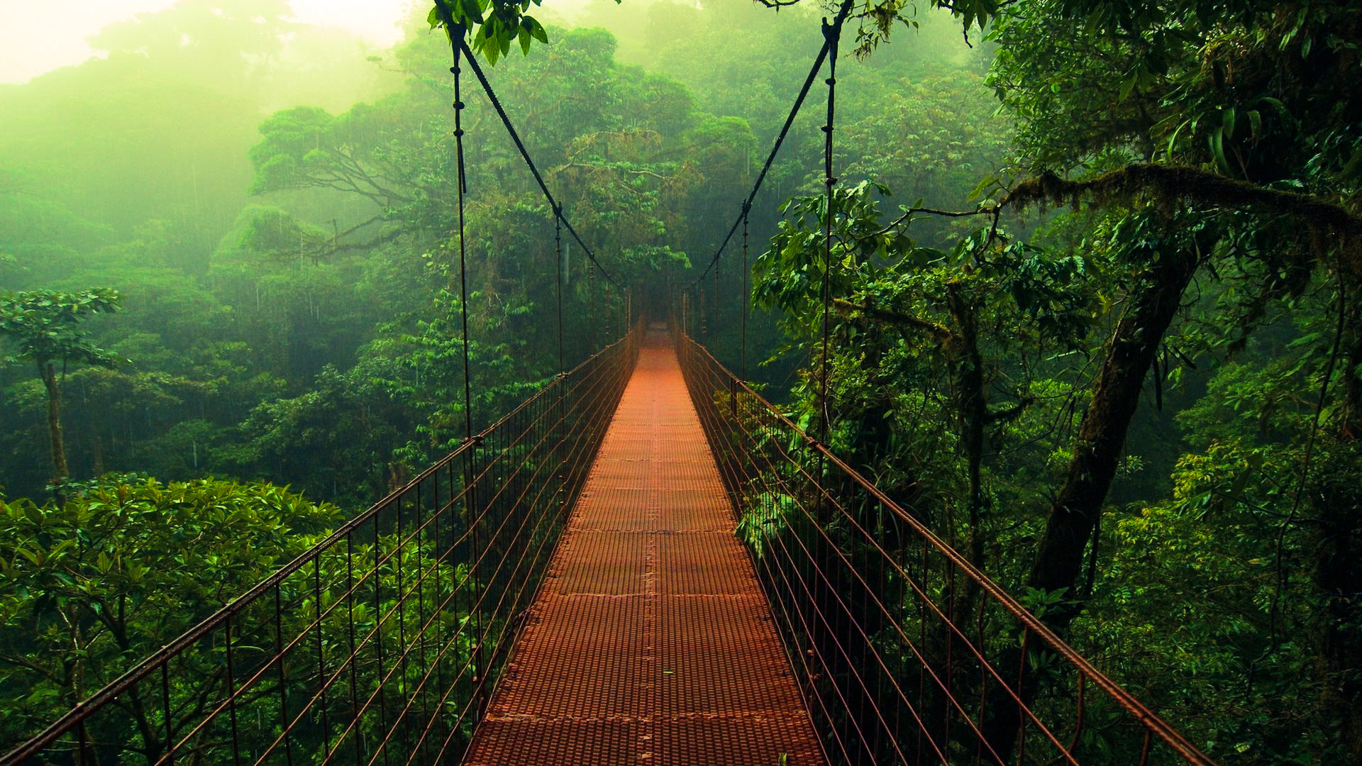 Nine proven tips on how to survive the IT jungle - Synrgize! || From ...